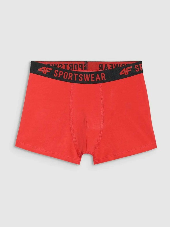 4F Момчешки боксерки 4F (3pack)