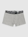 4F Момчешки боксерки 4F (3pack)