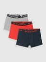 4F Момчешки боксерки 4F (3pack)
