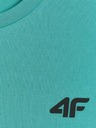 4F Мъжка тениска 4F FNK