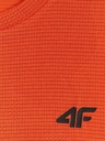 4F Мъжка тениска 4F FNK