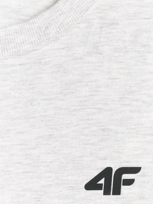4F Мъжка тениска 4F Jack