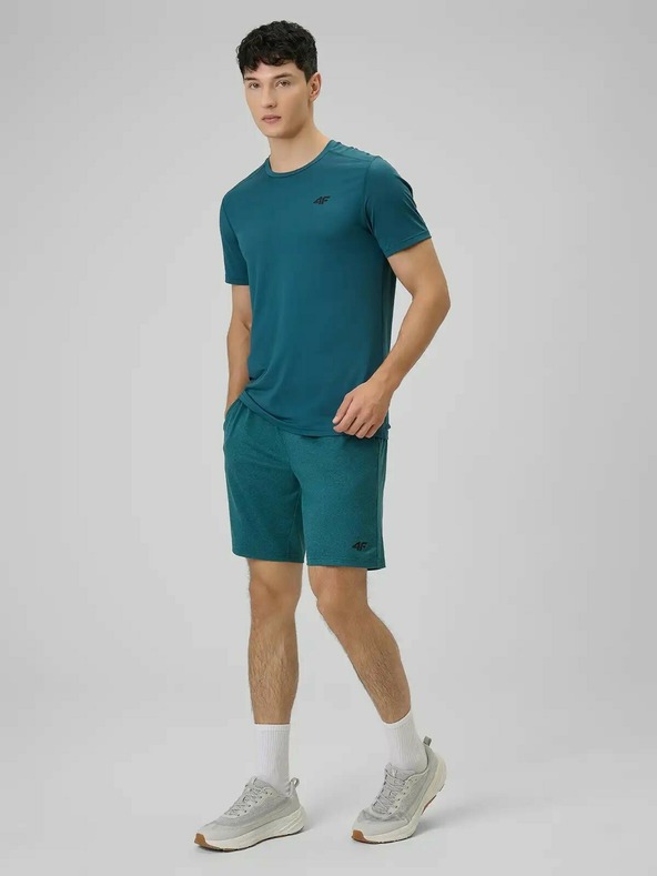 4F Мъжка тениска 4F FNK