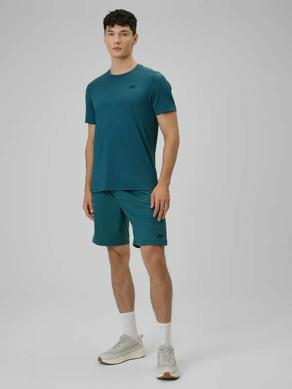 4F Мъжка тениска 4F FNK