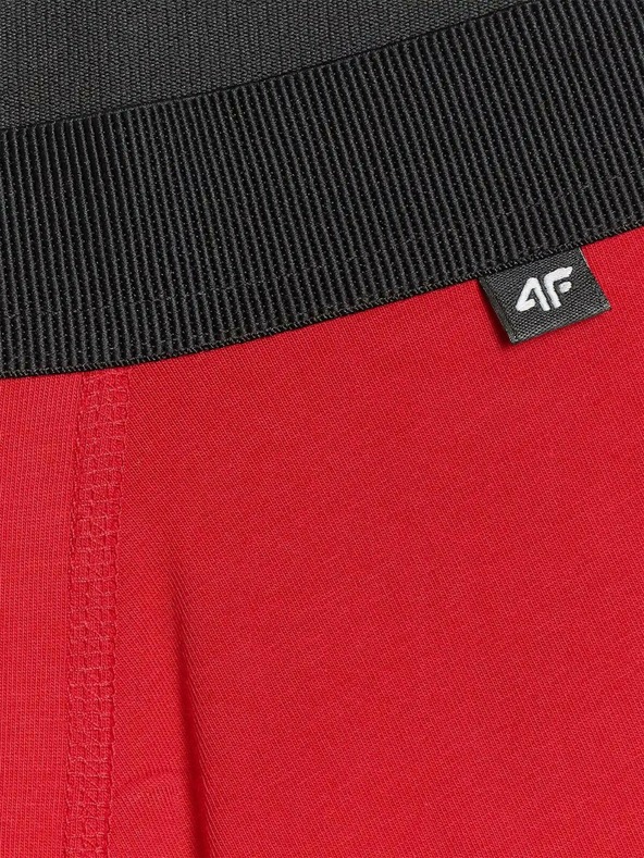 4F Мъжки боксерки 4F (2pack)