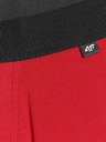 4F Мъжки боксерки 4F (2pack)