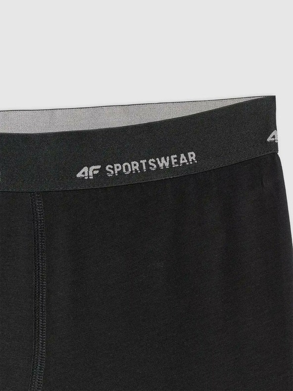 4F Мъжки боксерки 4F Falcon (2pack)