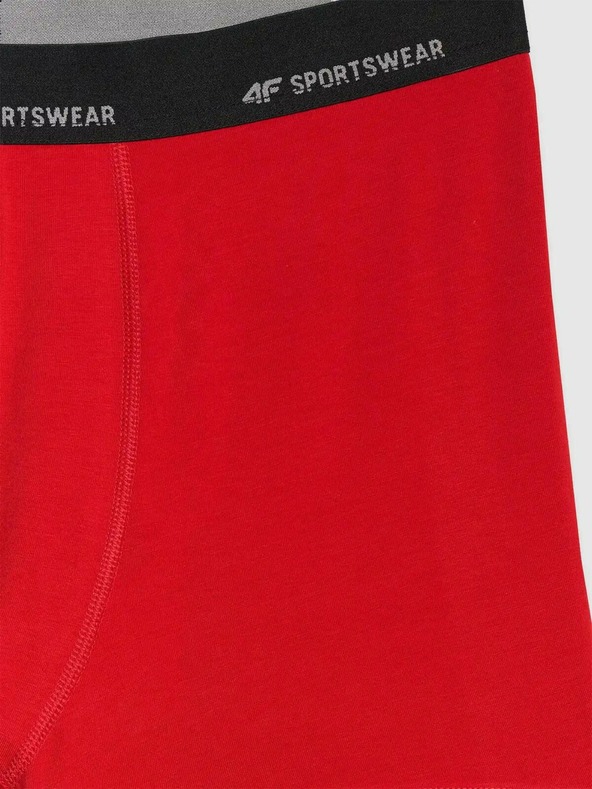 4F Мъжки боксерки 4F Falcon (2pack)