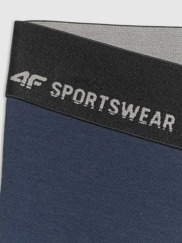 4F Мъжки боксерки 4F Falcon (2pack)