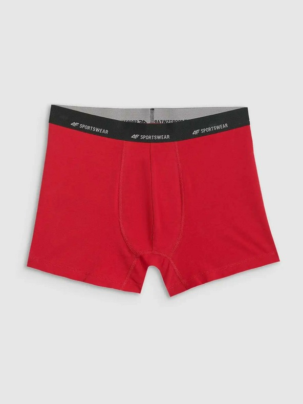 4F Мъжки боксерки 4F Falcon (2pack)