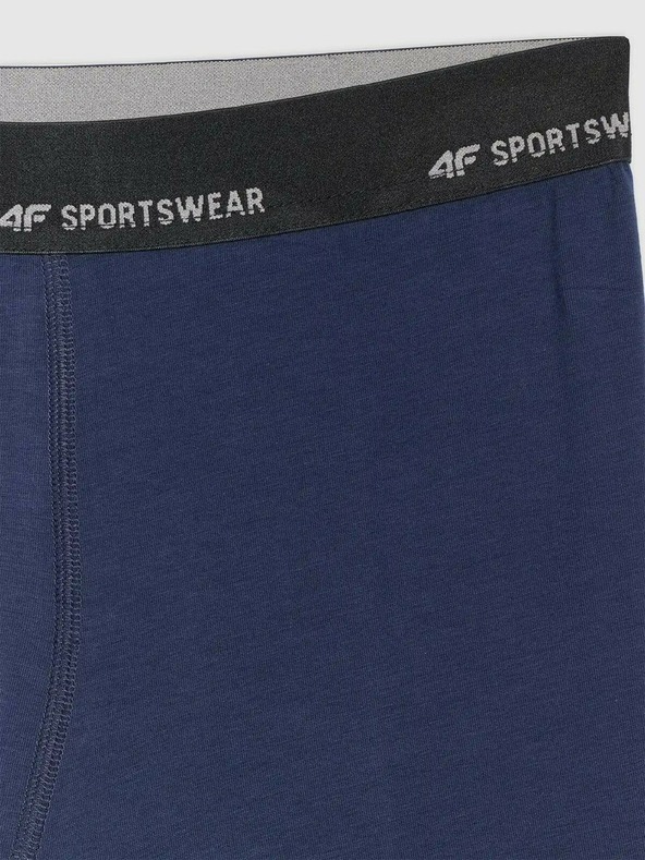 4F Мъжки боксерки 4F Falcon (2pack)