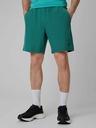 4F Мъжки къс панталон 4F Batan