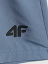 4F Мъжки къс панталон 4F Batan