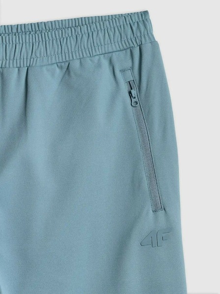 4F Мъжки спортни панталони 4F FNK Kali