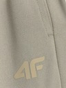 4F Женски спортни панталони 4F FNK Jumper
