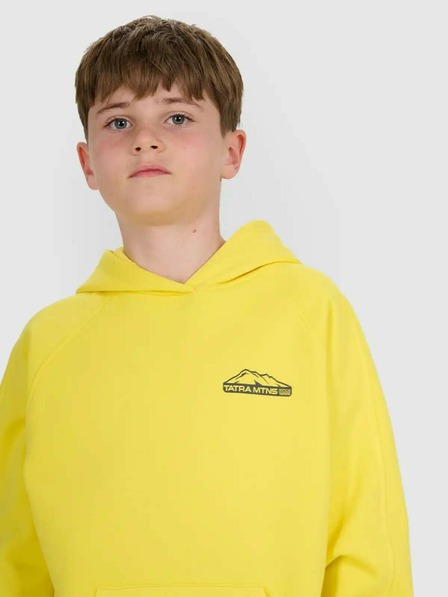 4F Момчешки суитшърт 4F