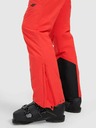 4F Мъжки панталони за ски 4F