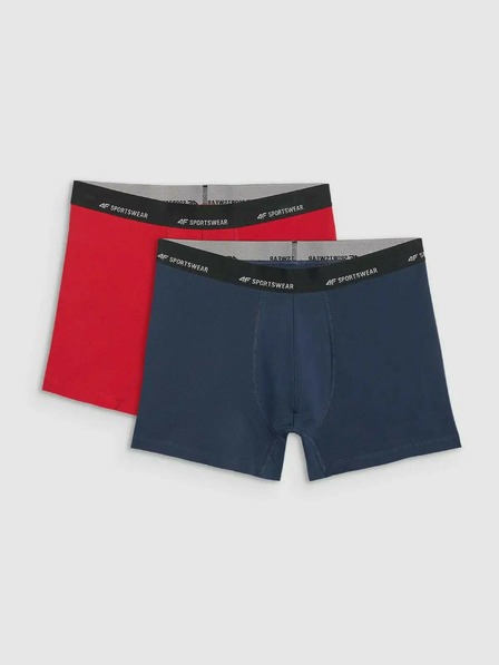 4F Мъжки боксерки 4F Falcon (2pack)