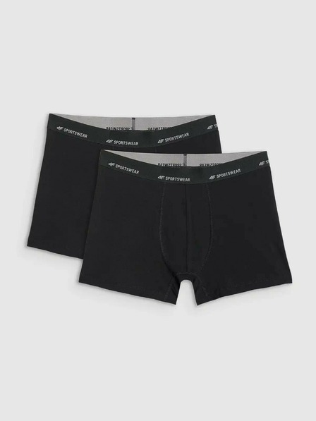 4F Мъжки боксерки 4F Falcon (2pack)