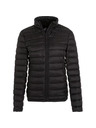 Whistler Whistler Tepic W Дамско ватирано яке