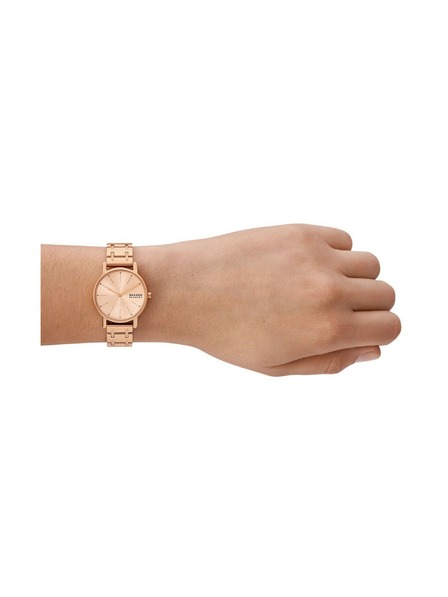 Skagen Дамски кръгли часовници Skagen Signatur Lille SKW3125