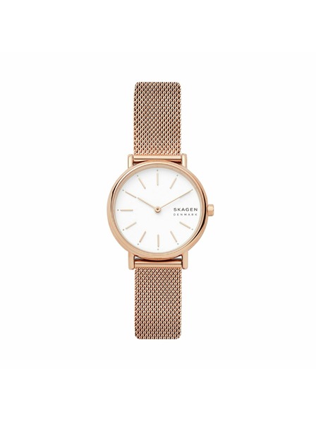 Skagen Дамски часовници Skagen Signatur Lille Mesh SKW2694