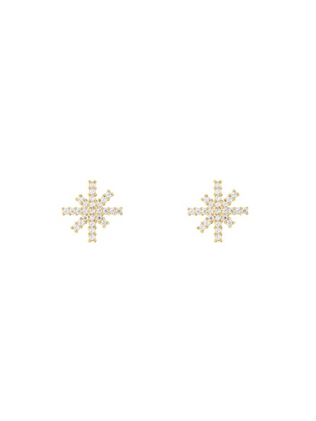 Daniel Wellington Дамски стоманени обеци Daniel Wellington Mirelle Star DW00401611