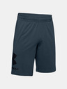 Under Armour Мъжки шорти Under Armour COTTON BIG LOGO SHORTS