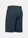 Under Armour Мъжки шорти Under Armour COTTON BIG LOGO SHORTS