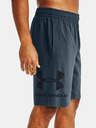 Under Armour Мъжки шорти Under Armour COTTON BIG LOGO SHORTS