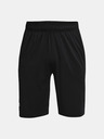 Under Armour Мъжки шорти Under Armour UA Raid 2.0 Shorts