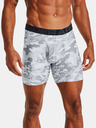 Under Armour Мъжки боксерки Under Armour UA Tech 6in Novelty (2 бр.)