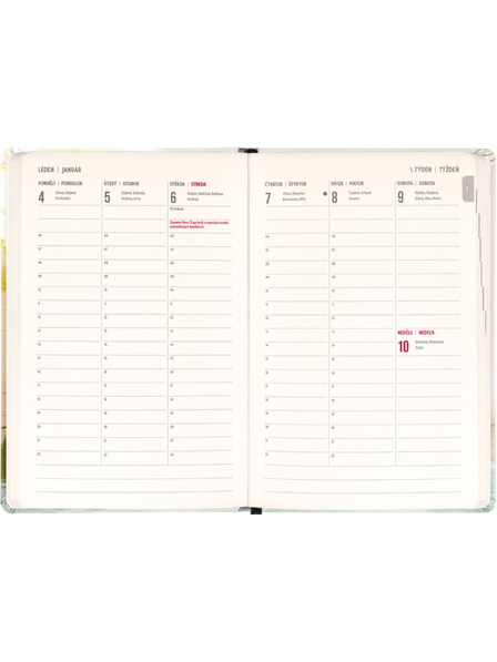 NOTIQUE NOTIQUE 18-month diary Petito – Capybara 2026/2027, 11 x 16 cm