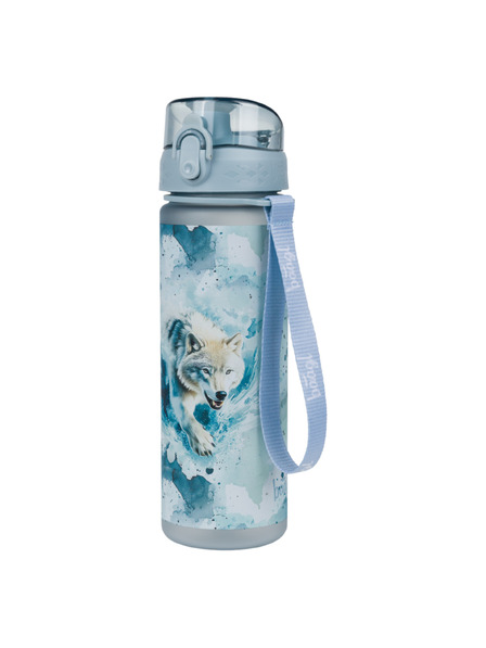 BAAGL  BAAGL Tritанова питейна бутилка Polar, 500 ml