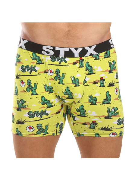Styx Мъжки боксерки Styx long art спортен ластик кактуси