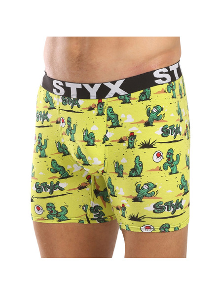 Styx Мъжки боксерки Styx long art спортен ластик кактуси
