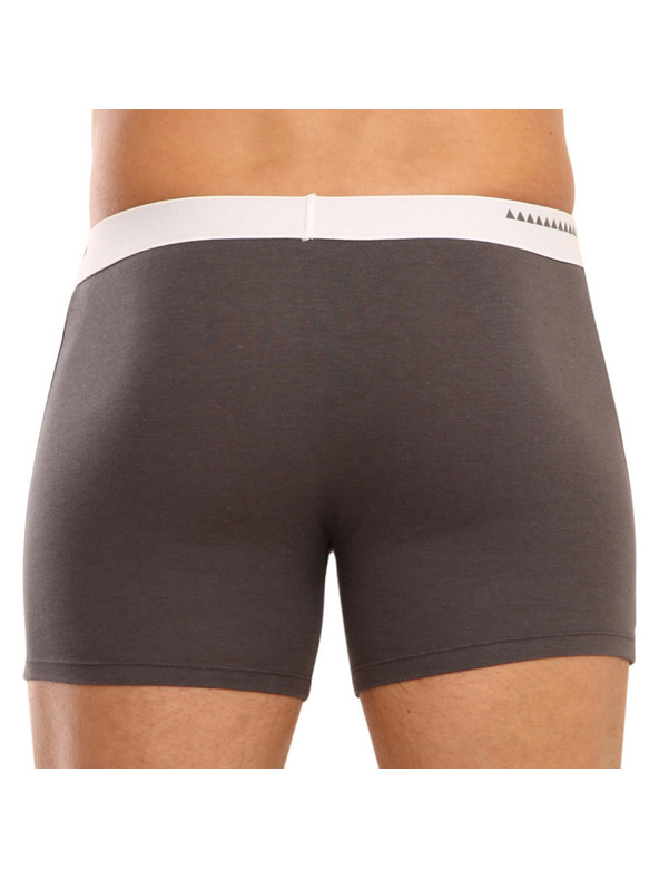 69slam Мъжки боксерки 69SLAM fit bamboo plain