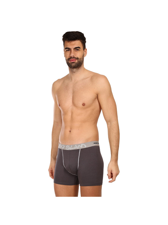 69slam Мъжки боксерки 69SLAM fit bamboo plain