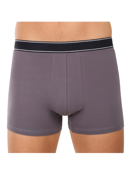 andrie Мъжки боксерки Andrie многоцветни (PS 5828/light gray)