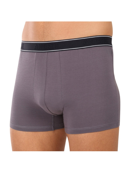 andrie Мъжки боксерки Andrie многоцветни (PS 5828/light gray)