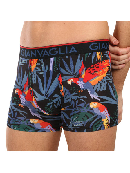 Gianvaglia Набор от пет - мъжки боксерки Gianvaglia многоцветни
