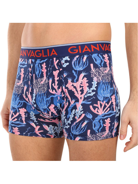 Gianvaglia Набор от пет - мъжки боксерки Gianvaglia многоцветни