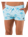 69slam Мъжки бански 69SLAM PALM BLUE