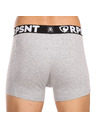 Represent Мъжки къси панталони EXCLUSIVE SPORT GREY Represent