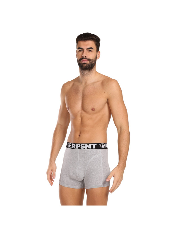 Represent Мъжки къси панталони EXCLUSIVE SPORT GREY Represent