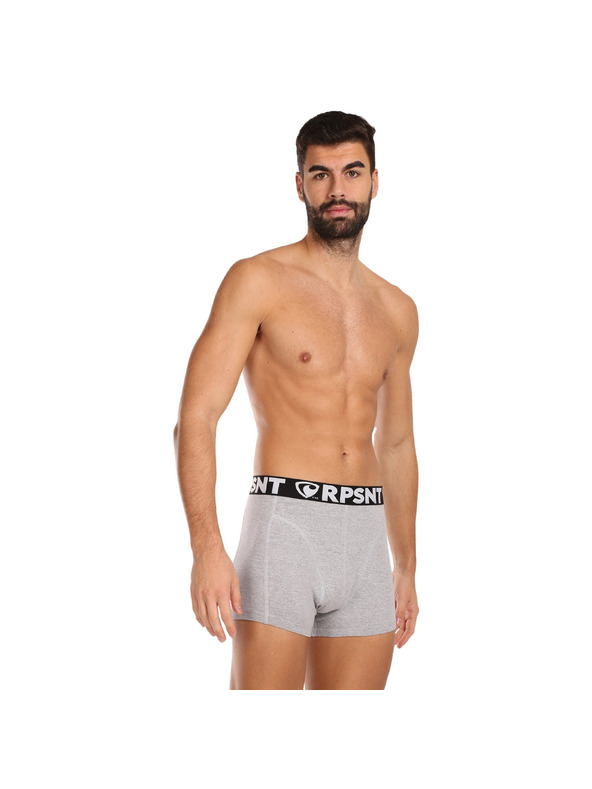 Represent Мъжки къси панталони EXCLUSIVE SPORT GREY Represent