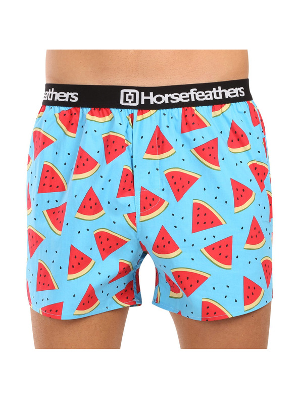 Horsefeathers Боксерки Frazier 5Pack - bundle 2