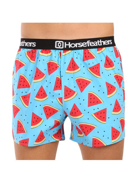Horsefeathers Боксерки Frazier 5Pack - bundle 2
