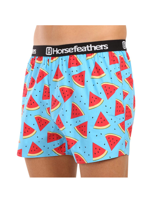 Horsefeathers Боксерки Frazier 5Pack - bundle 2