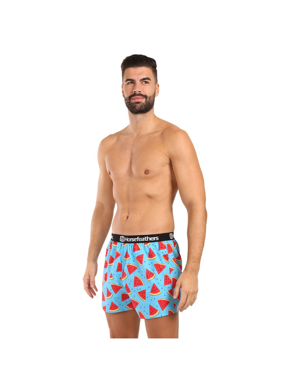 Horsefeathers Боксерки Frazier 5Pack - bundle 2